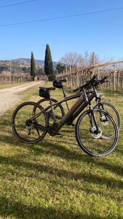 B&B Campagnon Valpolicella Sant'Ambrogio di Valpolicella Ngoại thất bức ảnh