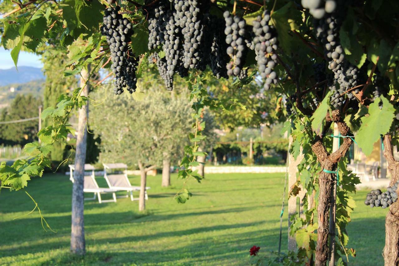B&B Campagnon Valpolicella Sant'Ambrogio di Valpolicella Ngoại thất bức ảnh