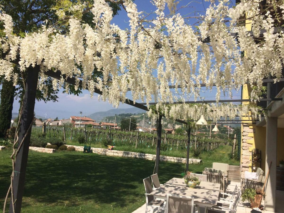 B&B Campagnon Valpolicella Sant'Ambrogio di Valpolicella Ngoại thất bức ảnh